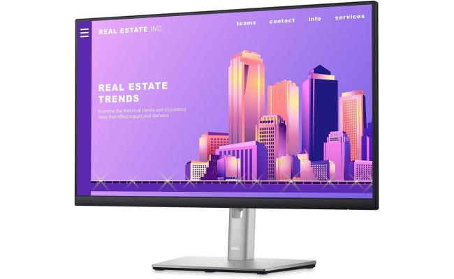 Dell P2422H 24 FHD IPS Computer Monitor